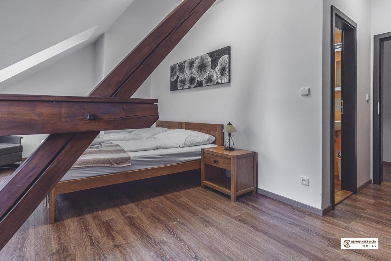 Hotel Nemojansky Mlyn Nemojany ภายนอก รูปภาพ