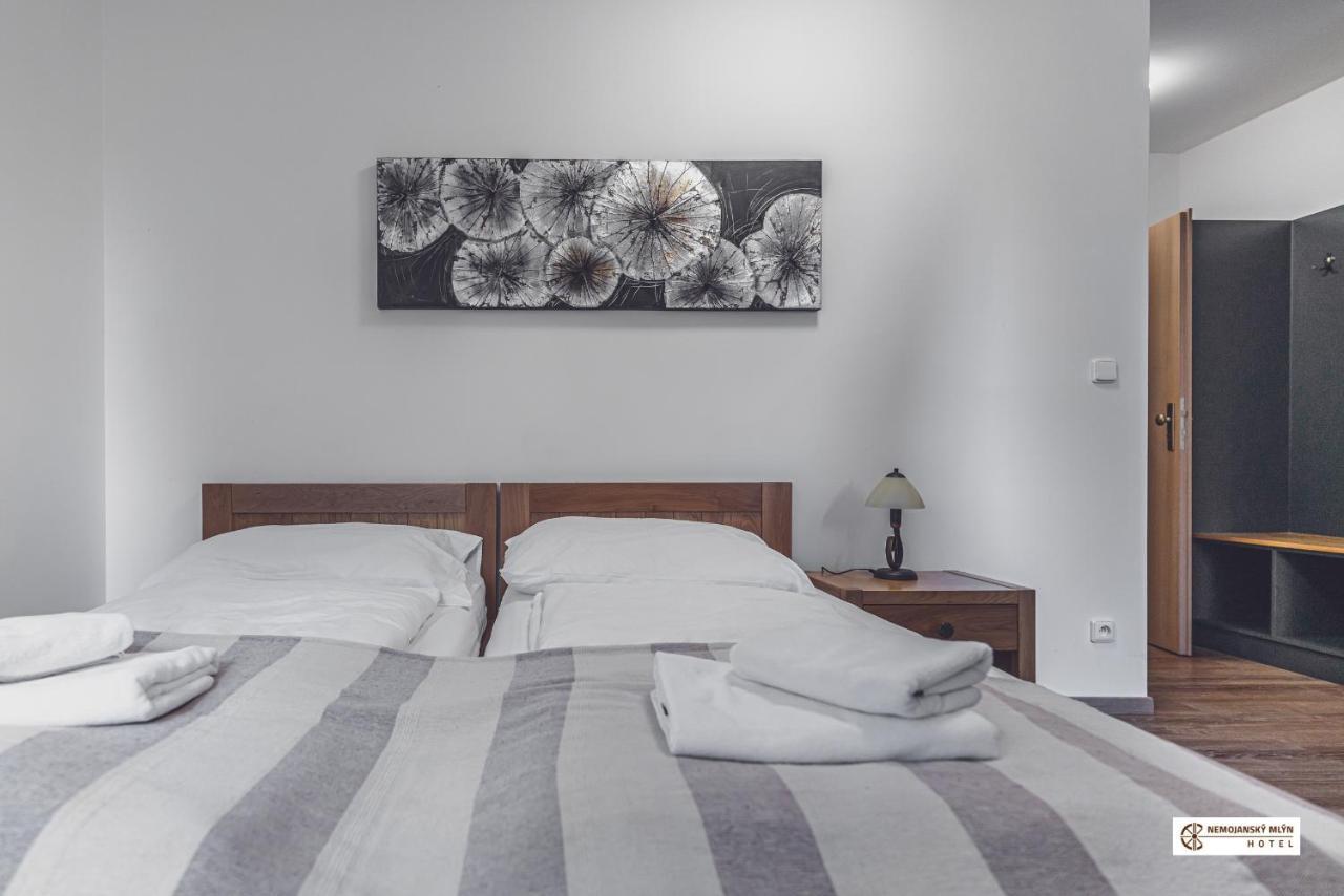 Hotel Nemojansky Mlyn Nemojany ภายนอก รูปภาพ