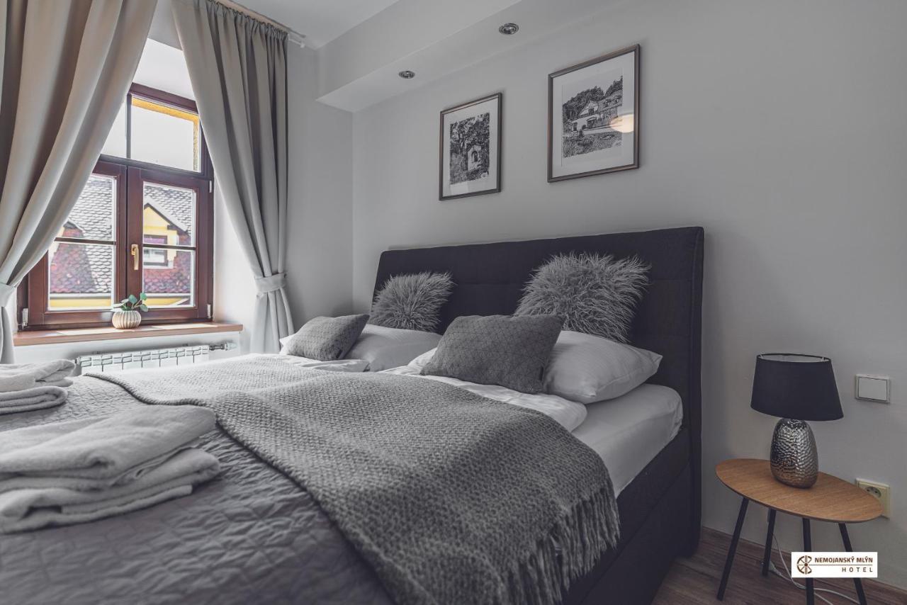 Hotel Nemojansky Mlyn Nemojany ภายนอก รูปภาพ