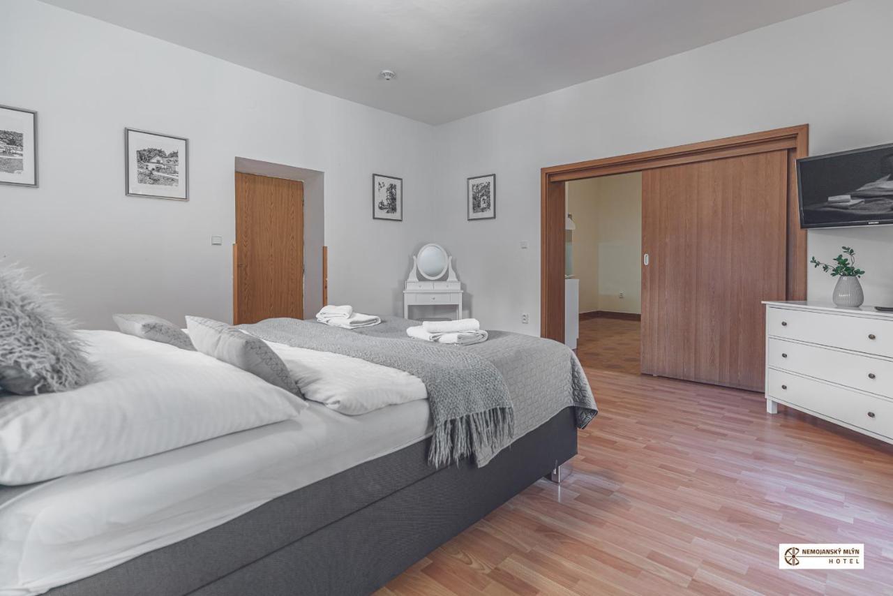 Hotel Nemojansky Mlyn Nemojany ภายนอก รูปภาพ
